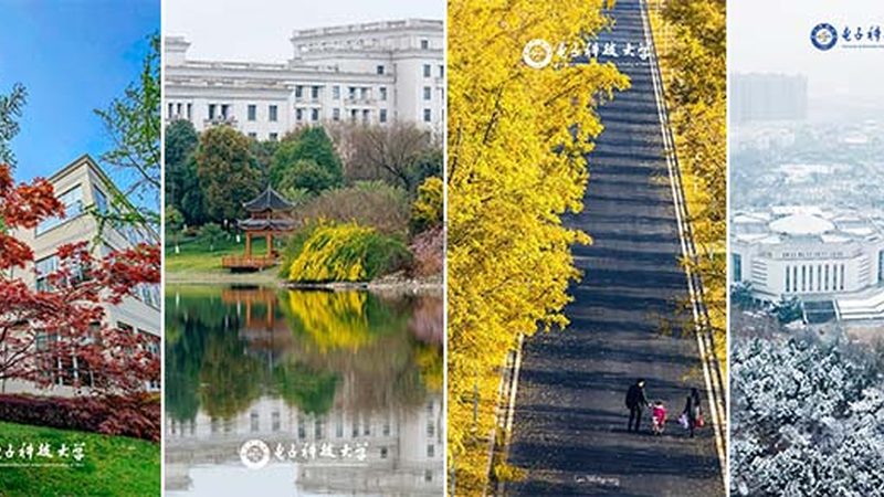 电子模块接线颜色标准：揭秘其背后的逻辑与规范