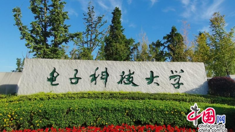 如何高效查询集成电路型号？揭秘实用方法与技巧
