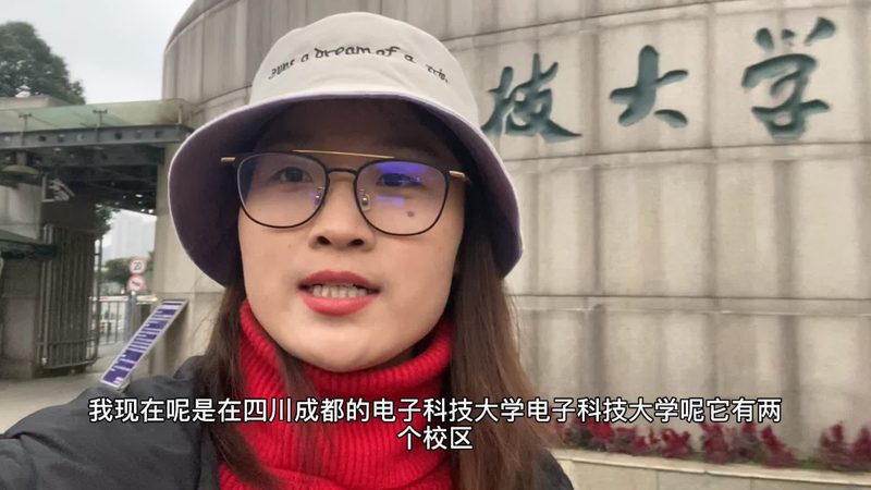 电子代工行业规范解析：优缺点与行业影响